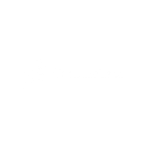 Camanchaca