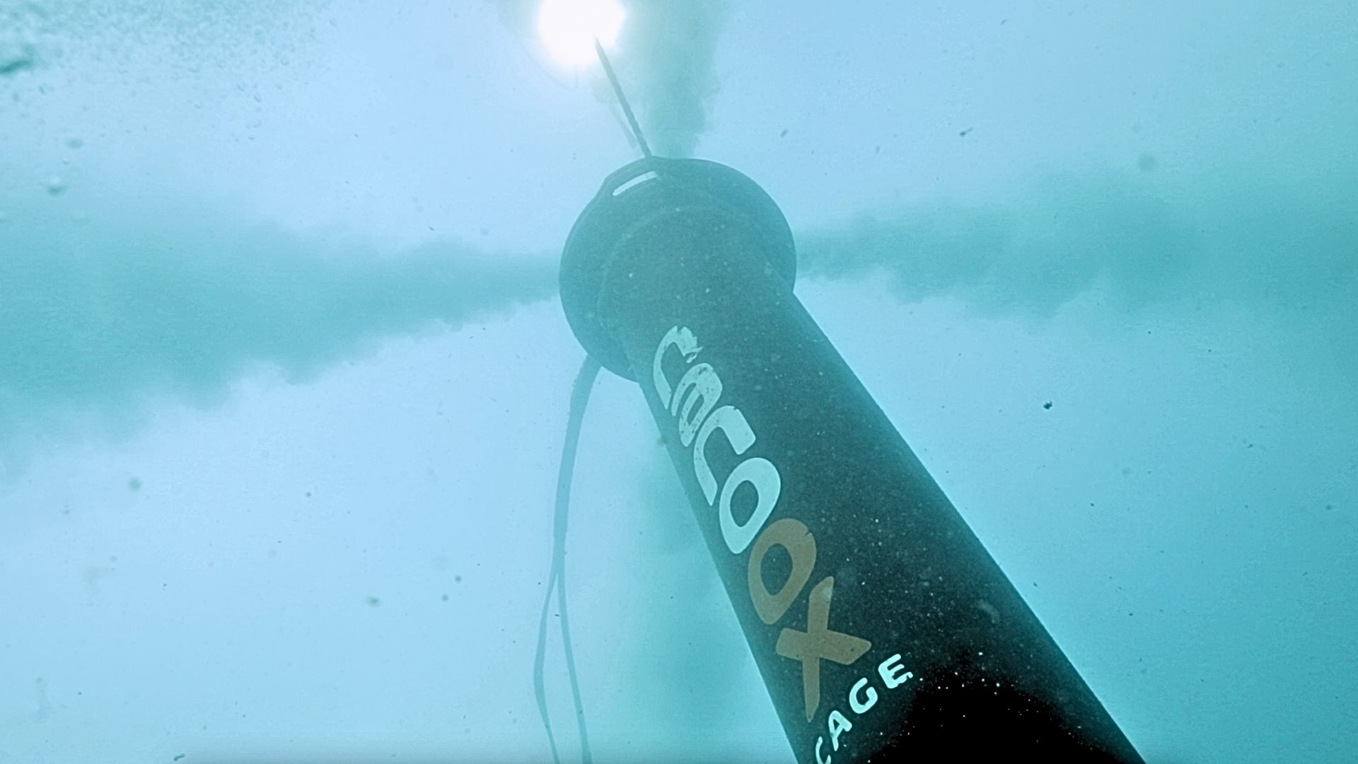 2.NANOOX CAGE DE VIDEO 4I3A1793