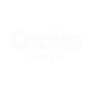 Cook