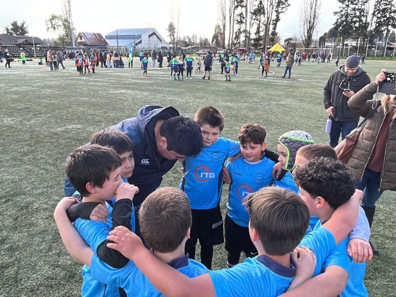 Comunidad - Jabalitos 2